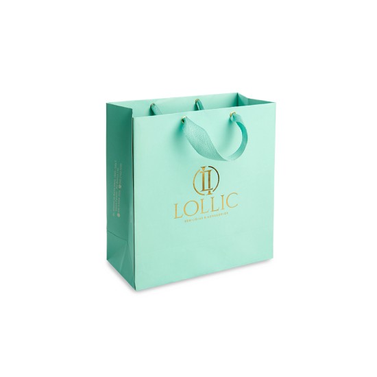 204 - Sacola de Papel Duplex Personalizada de 23,5x22x10cm 204 - Sacola de Papel Duplex Personalizada de 23,5x22x10cm