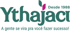 Ythajaci Sacolas Personalizadas Para Empresas